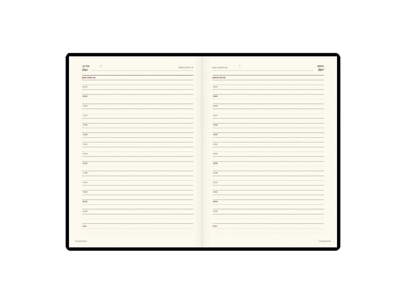 Ежедневник недатированный А5+ Persona (коричневый)